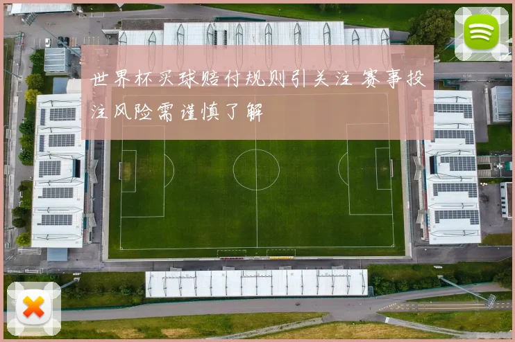 世界杯买球赔付规则引关注 赛事投注风险需谨慎了解