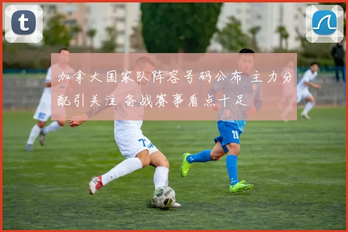 加拿大国家队阵容号码公布 主力分配引关注 备战赛事看点十足