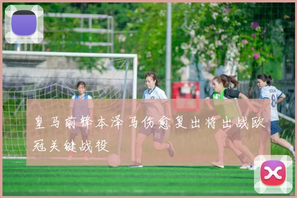 皇马前锋本泽马伤愈复出将出战欧冠关键战役