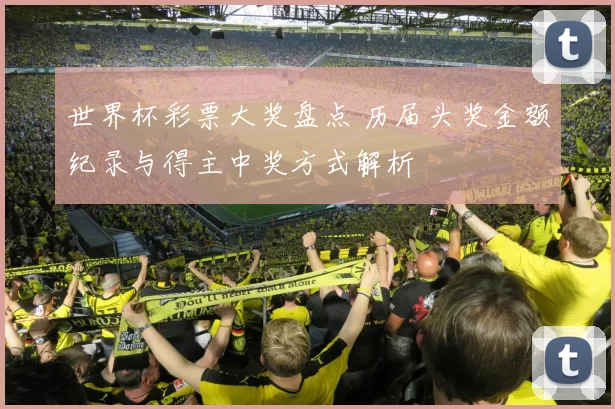 世界杯彩票大奖盘点 历届头奖金额纪录与得主中奖方式解析