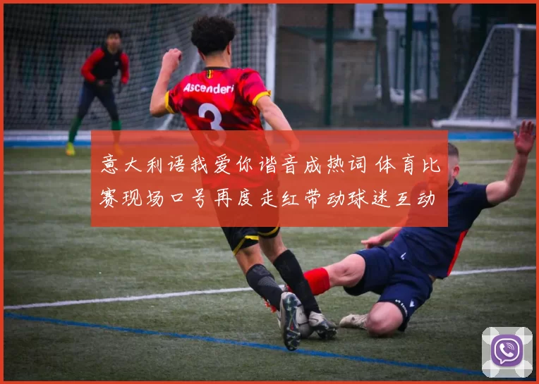 意大利语我爱你谐音成热词 体育比赛现场口号再度走红带动球迷互动