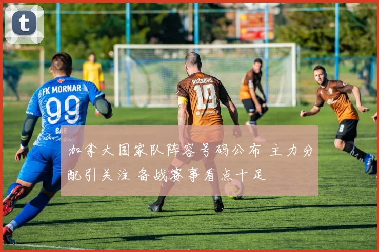 加拿大国家队阵容号码公布 主力分配引关注 备战赛事看点十足